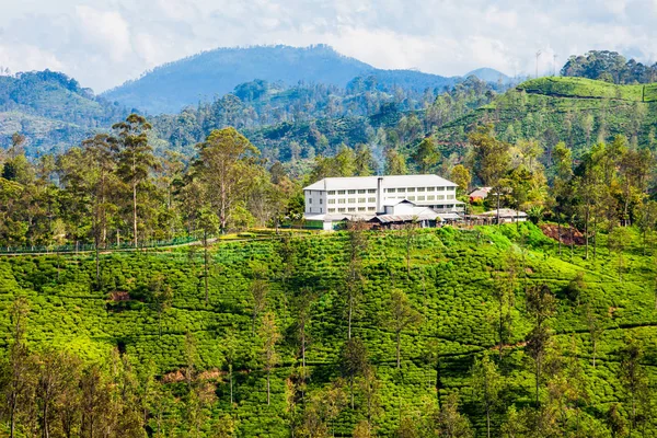 depositphotos_157160378-stock-photo-tea-factory-sri-lanka